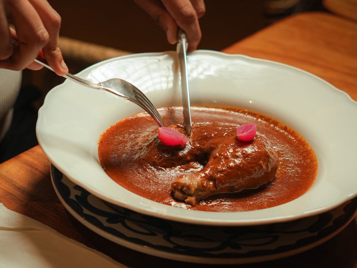 Pollo con Mole